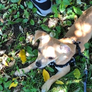 Meet your Posher, Victor